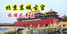 法国操屄中国北京-东城古宫旅游风景区